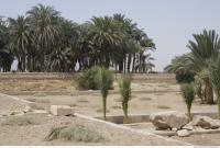 Photo Texture of Landscape Dendera 0191